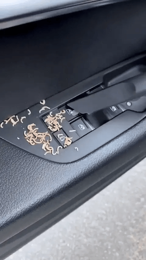 3 u 1 USISIVAČ za kuću ili auto !