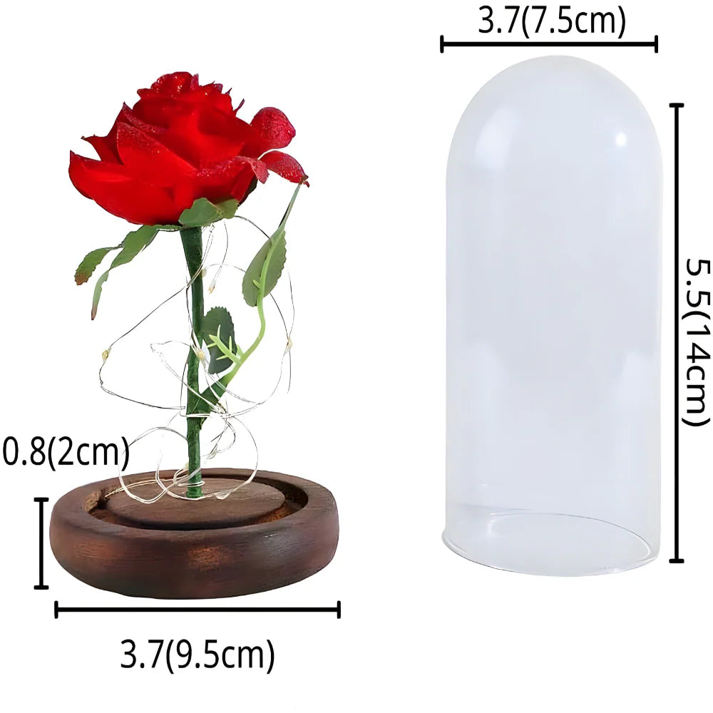 Večna Svetleća Ruža u Staklenom Zvonu – Simbol Ljubavi koji Traje Zauvek ✨🌹 50% popusta !